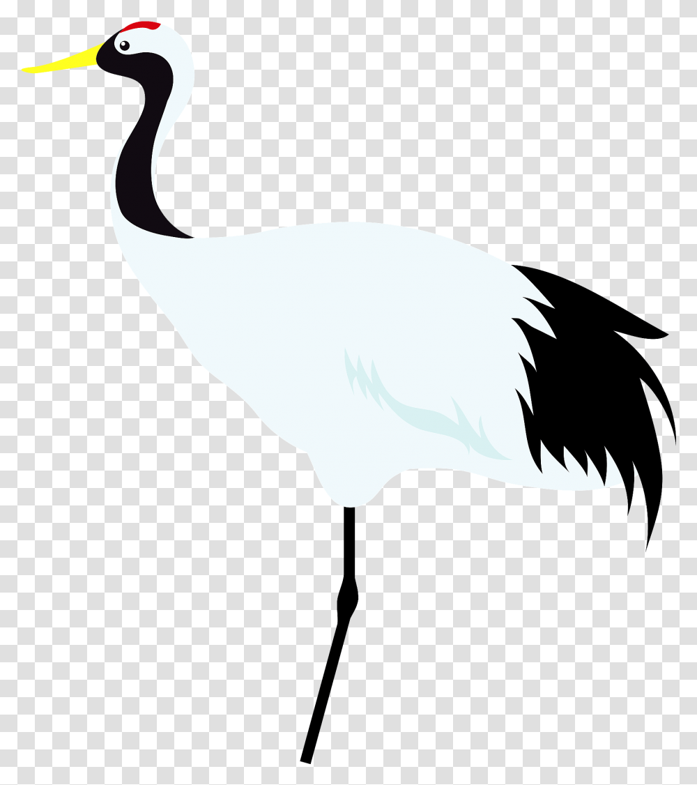 Red Crane Bird, Animal, Waterfowl, Stork Transparent Png