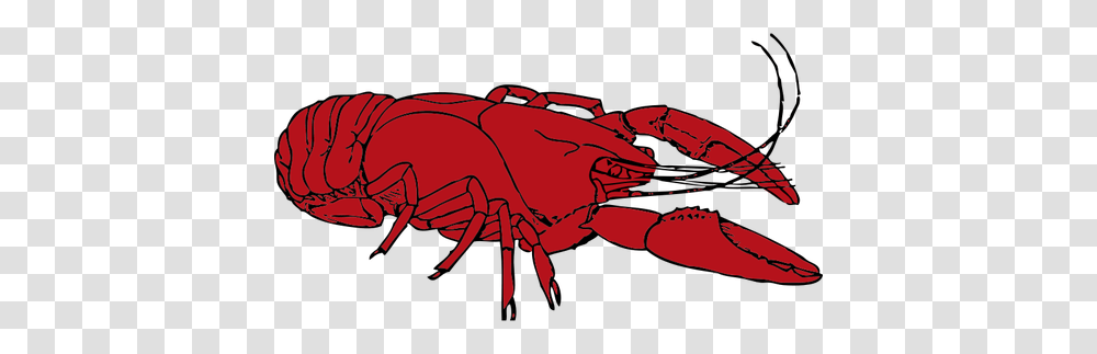 Red Crayfish Vector Clip Art, Animal, Sea Life, Seafood, Invertebrate Transparent Png