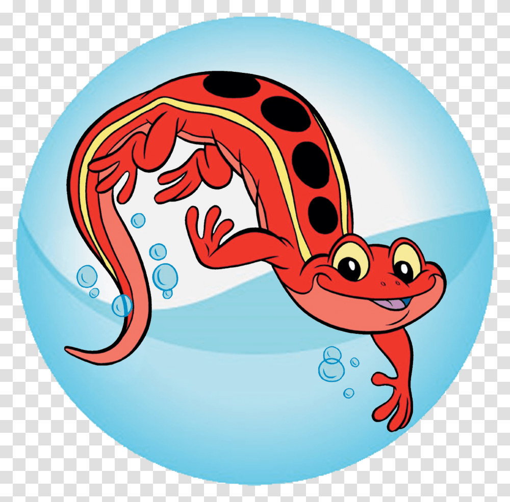 Red Cross Salamander Red Cross Salamander, Animal, Amphibian, Wildlife, Astronomy Transparent Png