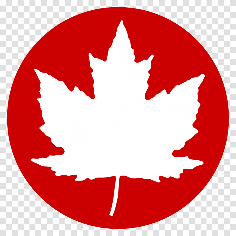 Red Cross Symbol Clipart If Us And Canada Were One Country, Leaf, Plant, Tree, Person Transparent Png
