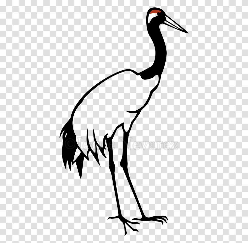 Red Crowned Crane Grey Crowned Crane Bird Clip Art, Alphabet, Call Of Duty Transparent Png