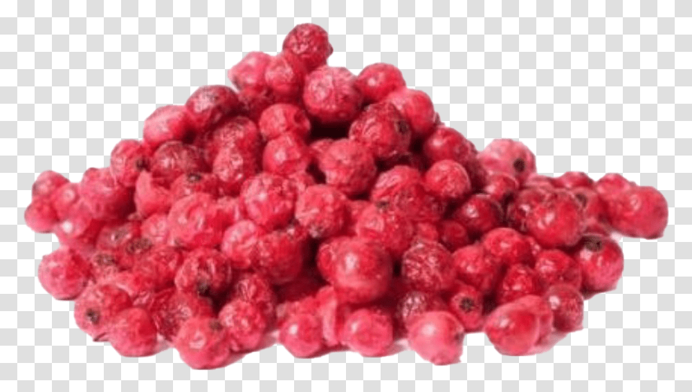 Red Currant Photo Freeze Dried Red Currants, Raspberry, Fruit, Plant, Food Transparent Png