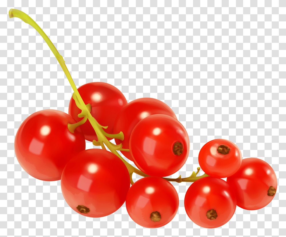 Red Currants Clipart, Plant, Fruit, Food, Cherry Transparent Png