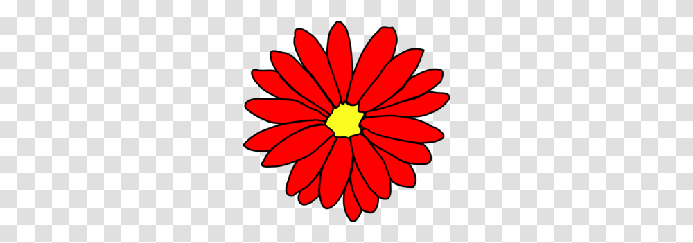 Red Daisy Flower Clip Art, Plant, Blossom, Petal, Daisies Transparent Png