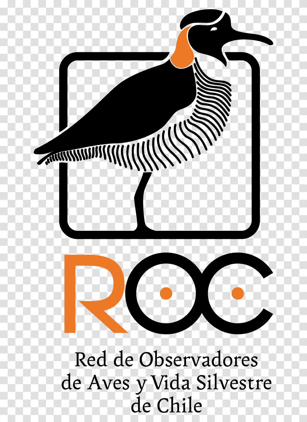 Red De Observadores De Aves De Chile, Label, Apparel Transparent Png