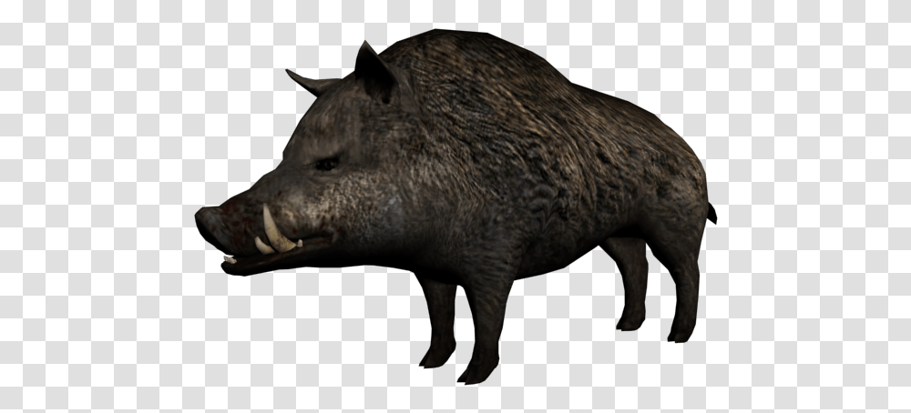 Red Dead Wiki Red Dead Redemption Animals, Hog, Pig, Mammal, Boar Transparent Png
