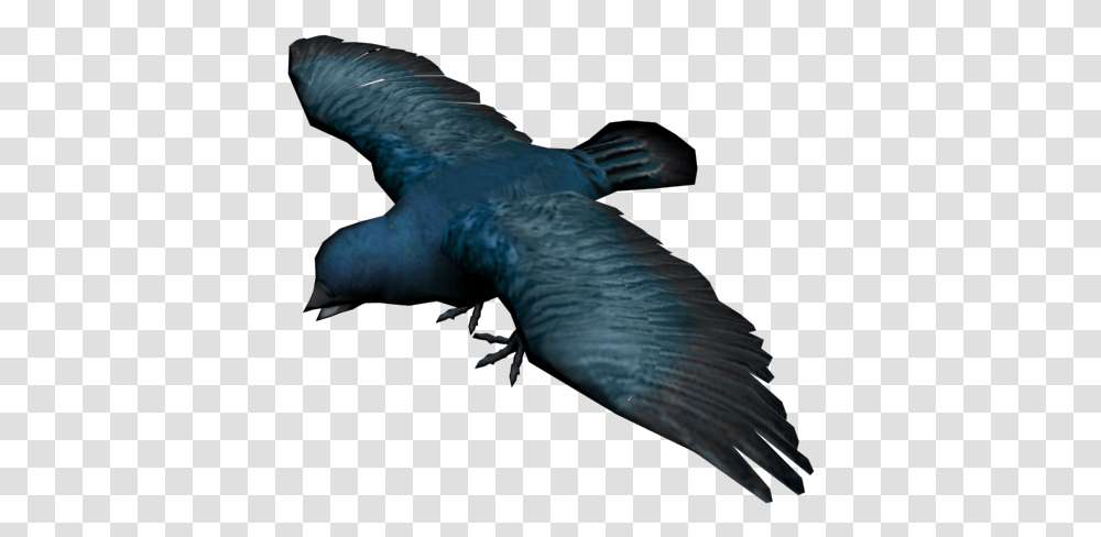 Red Dead Wiki Red Dead Redemption Songbird, Animal, Flying, Pelican, Waterfowl Transparent Png