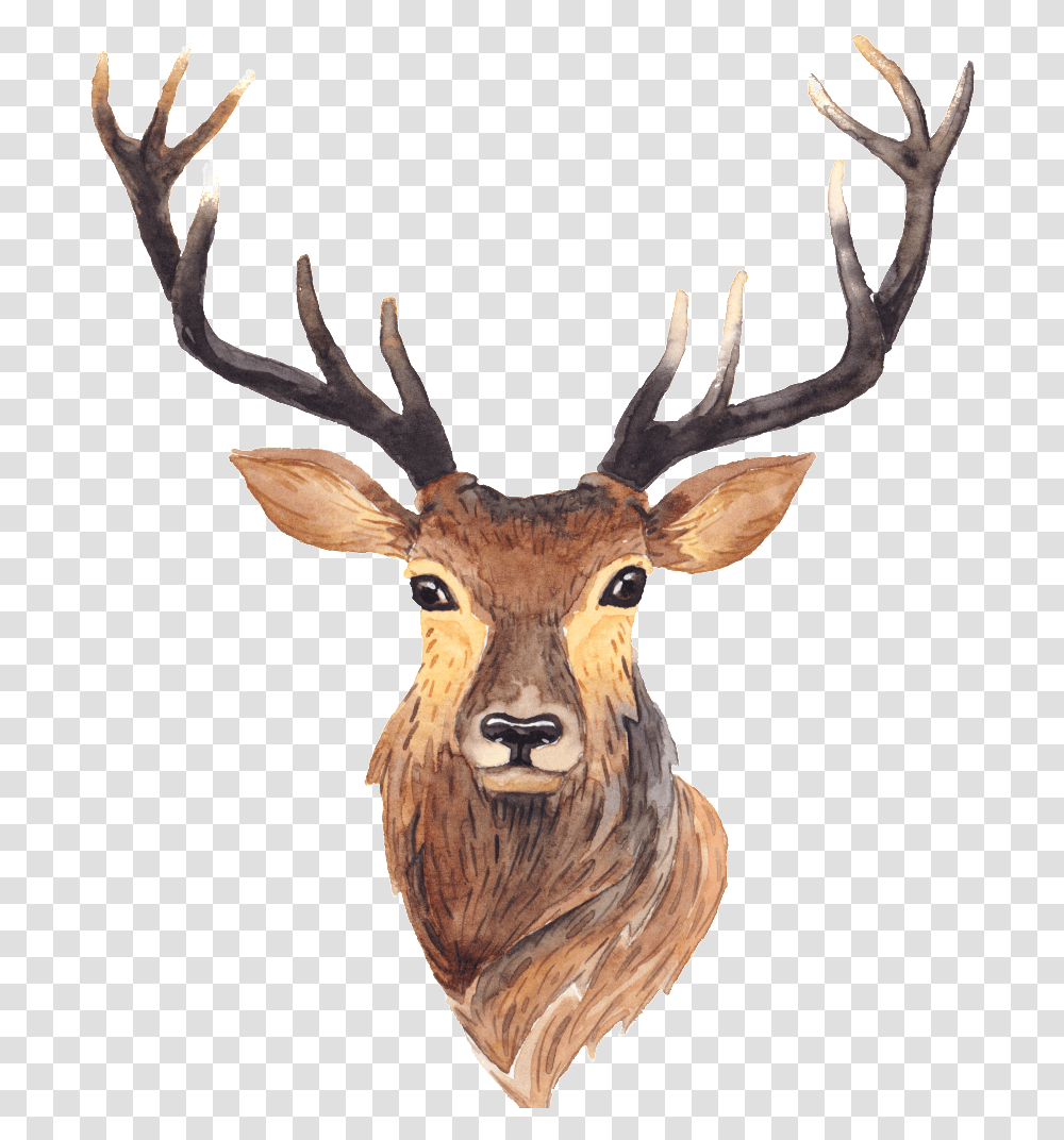 Red Deer Moose Antler Painting Deer Antlers Animation, Elk, Wildlife, Mammal, Animal Transparent Png
