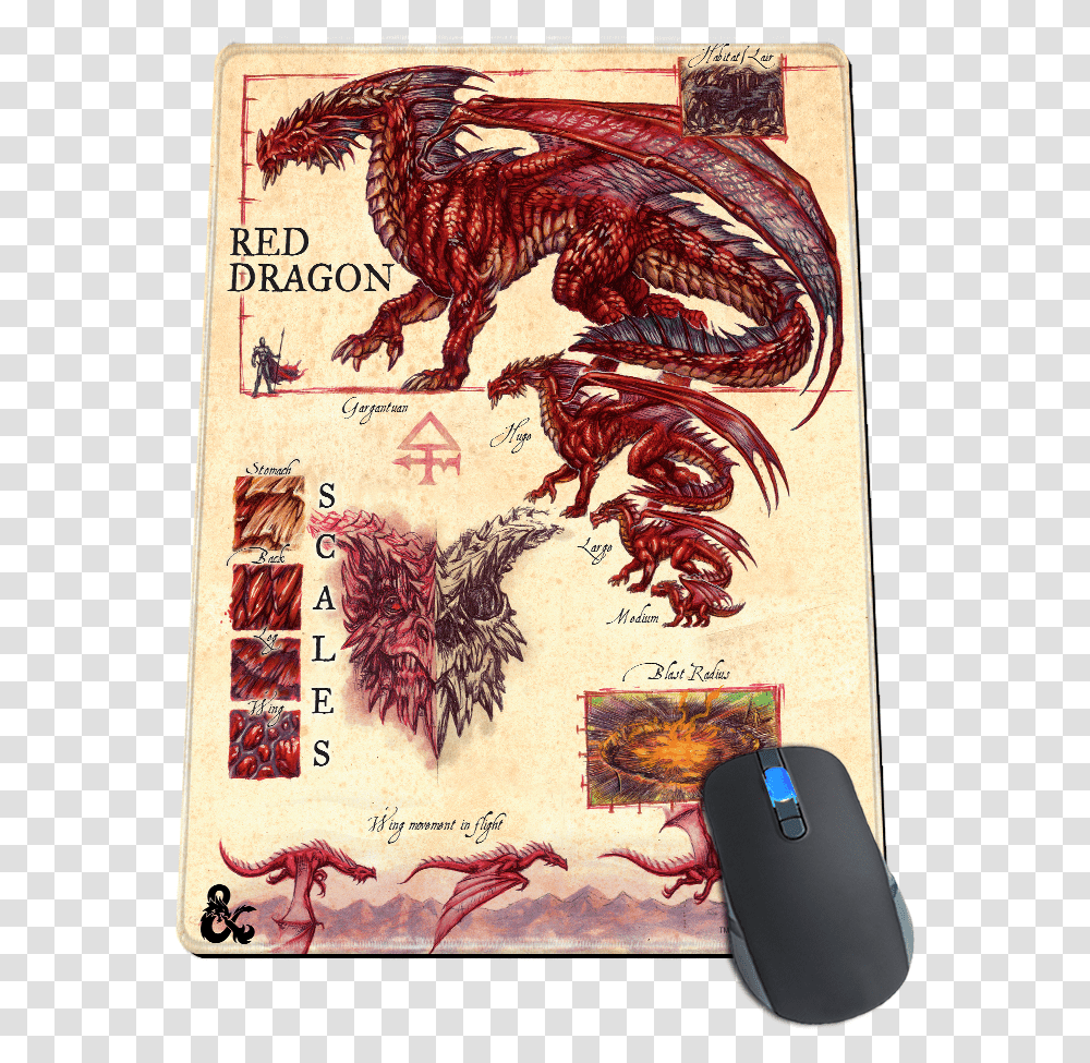 Red Dragon A Practical Guide To Dragons, Chicken, Poultry, Fowl, Bird Transparent Png