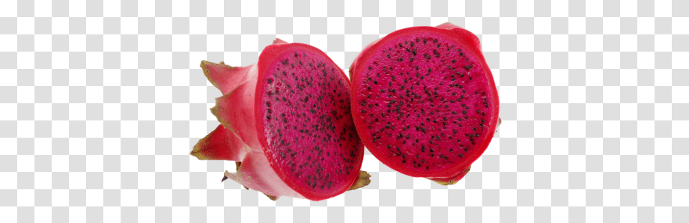 Red Dragon Fruit 2 Image Red Dragon Fruit, Plant, Petal, Flower, Blossom Transparent Png