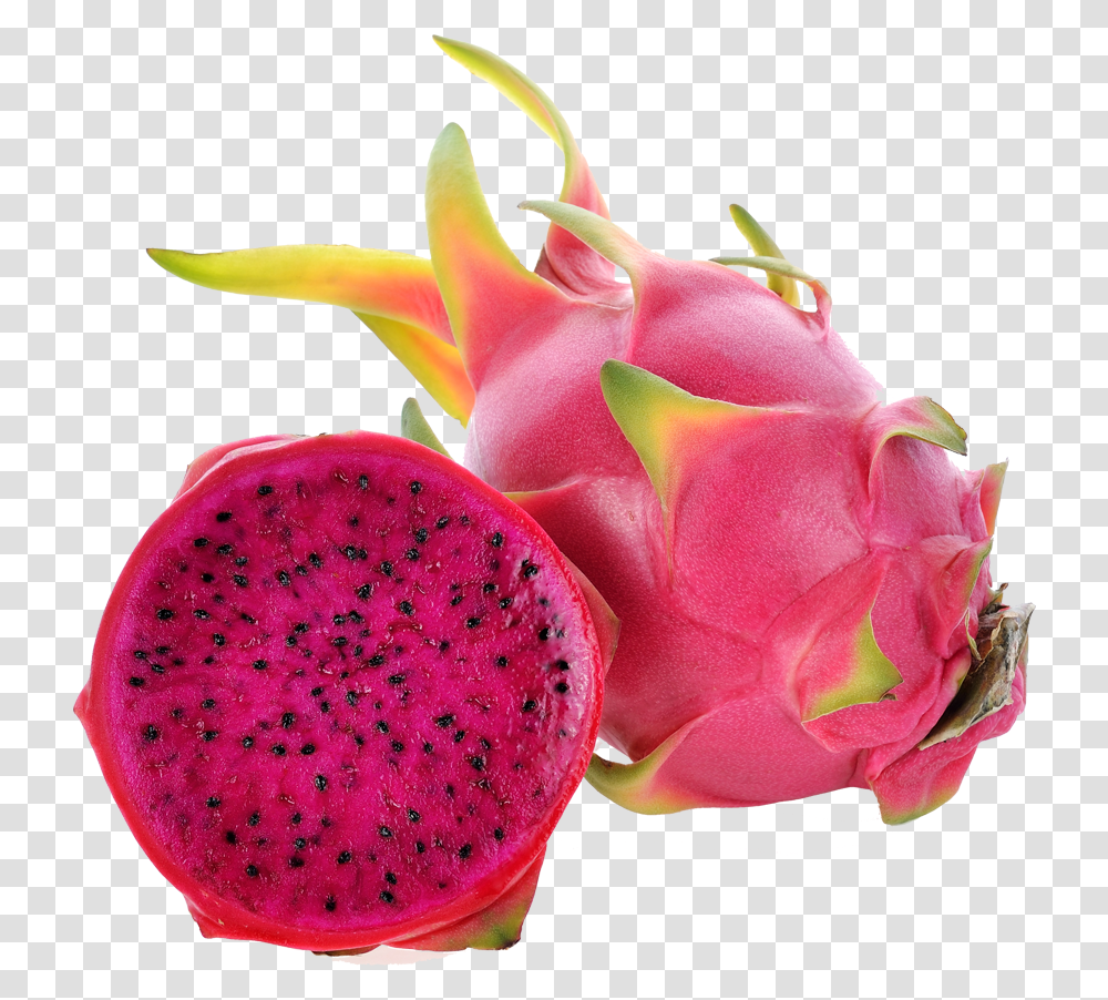 Red Dragon Fruit Pitaya, Plant, Rose, Flower, Blossom Transparent Png