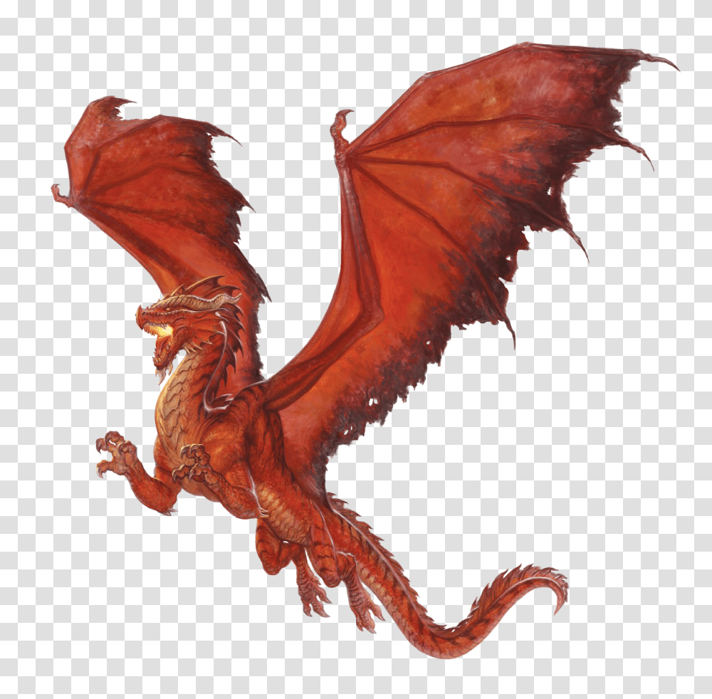 Red Dragon Picture Dungeons And Dragons Red Dragon, Chicken, Poultry, Fowl, Bird Transparent Png