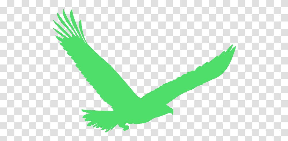 Red Eagle Silhouette, Bird, Animal, Toy Transparent Png