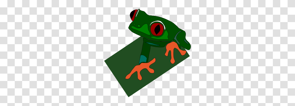 Red Eyed Frog Clip Art, Amphibian, Wildlife, Animal, Tree Frog Transparent Png