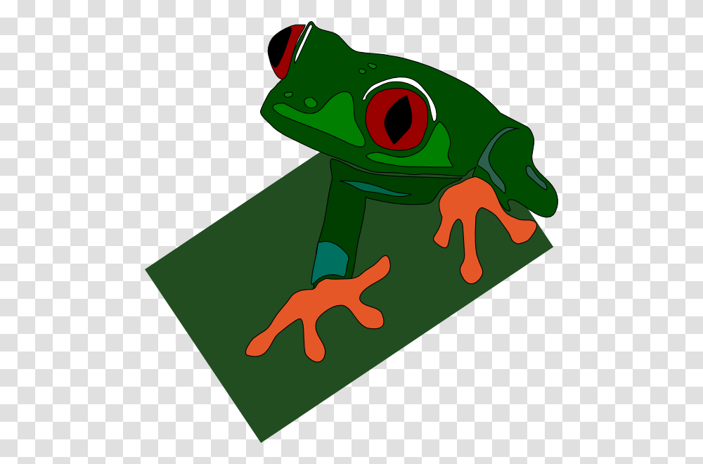 Red Eyed Frog Clip Art Free Vector, Amphibian, Wildlife, Animal, Tree Frog Transparent Png