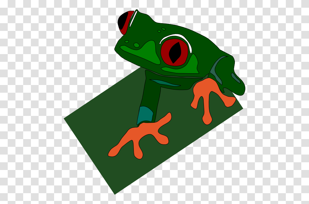 Red Eyed Frog Clipart For Web, Amphibian, Wildlife, Animal, Tree Frog Transparent Png