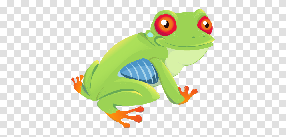 Red Eyed Tree Frog, Toy, Amphibian, Wildlife, Animal Transparent Png