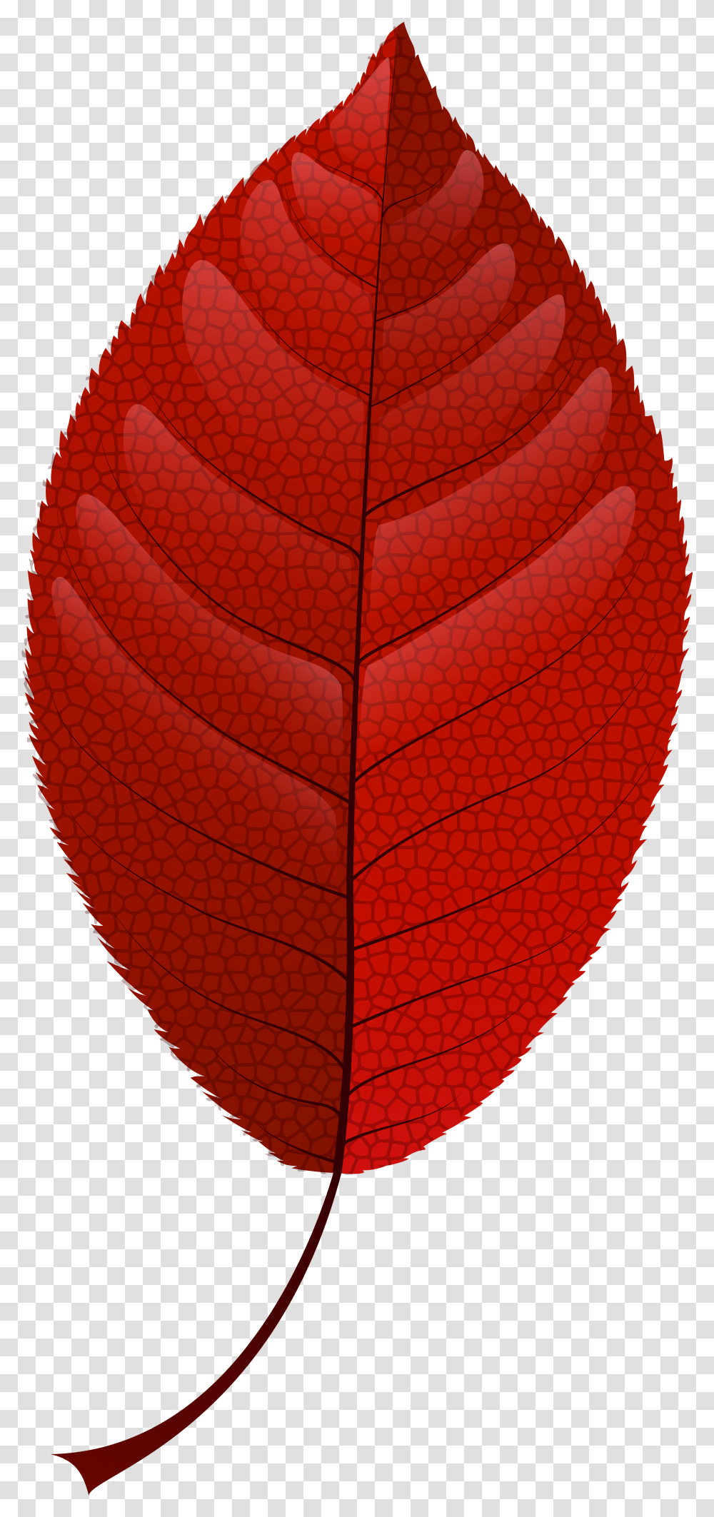 Red Fall Leaf Clip Art Red Fall Leaves Clipart Transparent Png