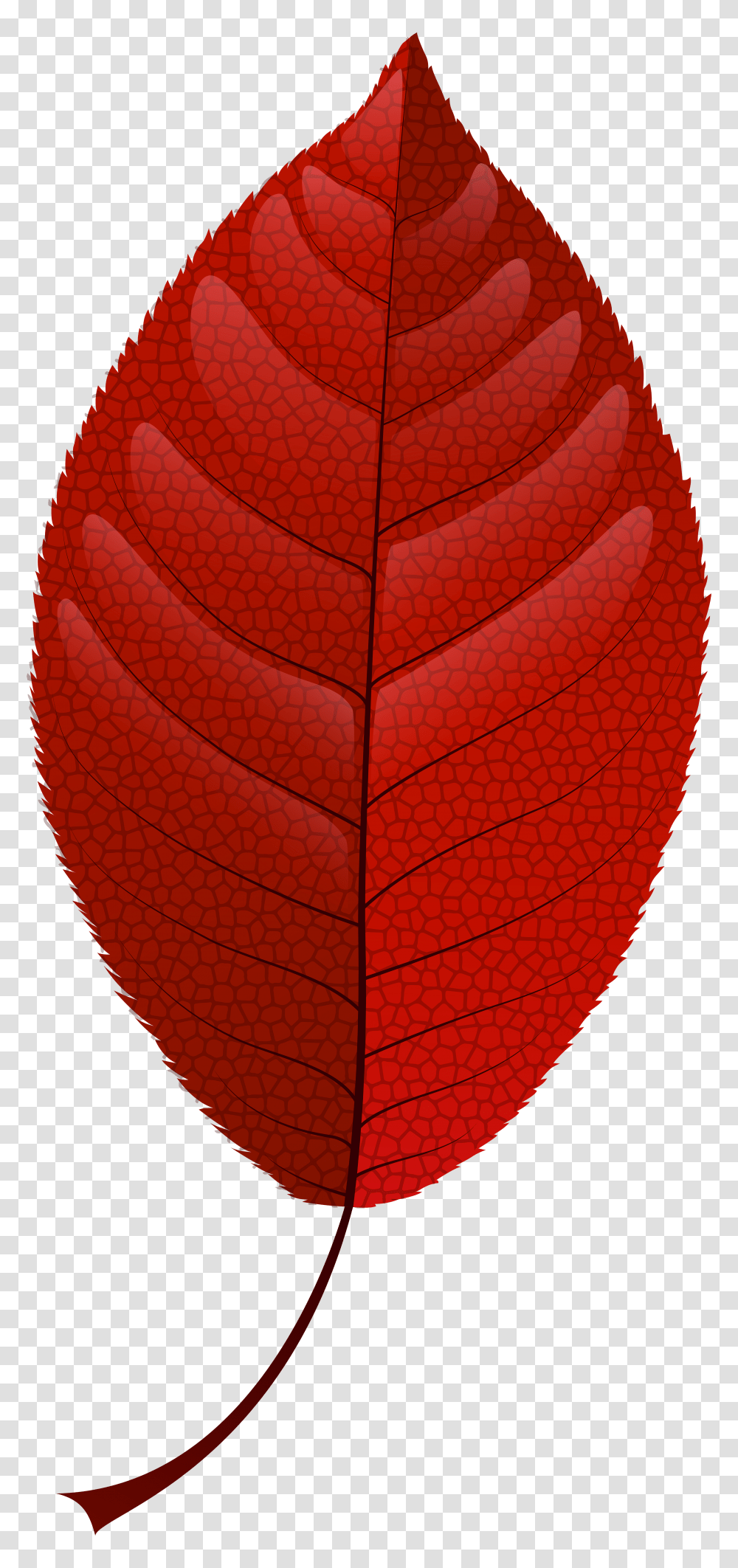 Red Fall Leaf Clip Art Transparent Png