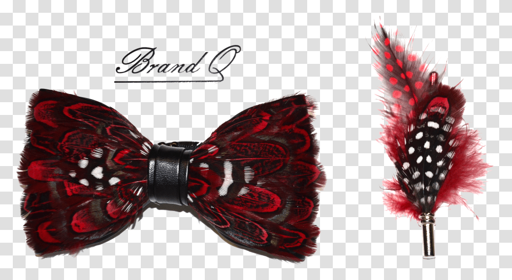 Red Feather Bow Tie Transparent Png