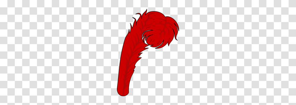 Red Feather Clip Art, Person, Hand, Flower, Plant Transparent Png