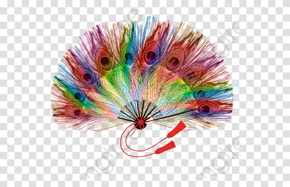 Red Feather Clipart Colorful Fan Of Feathers, Bird, Animal, Ornament, Pattern Transparent Png