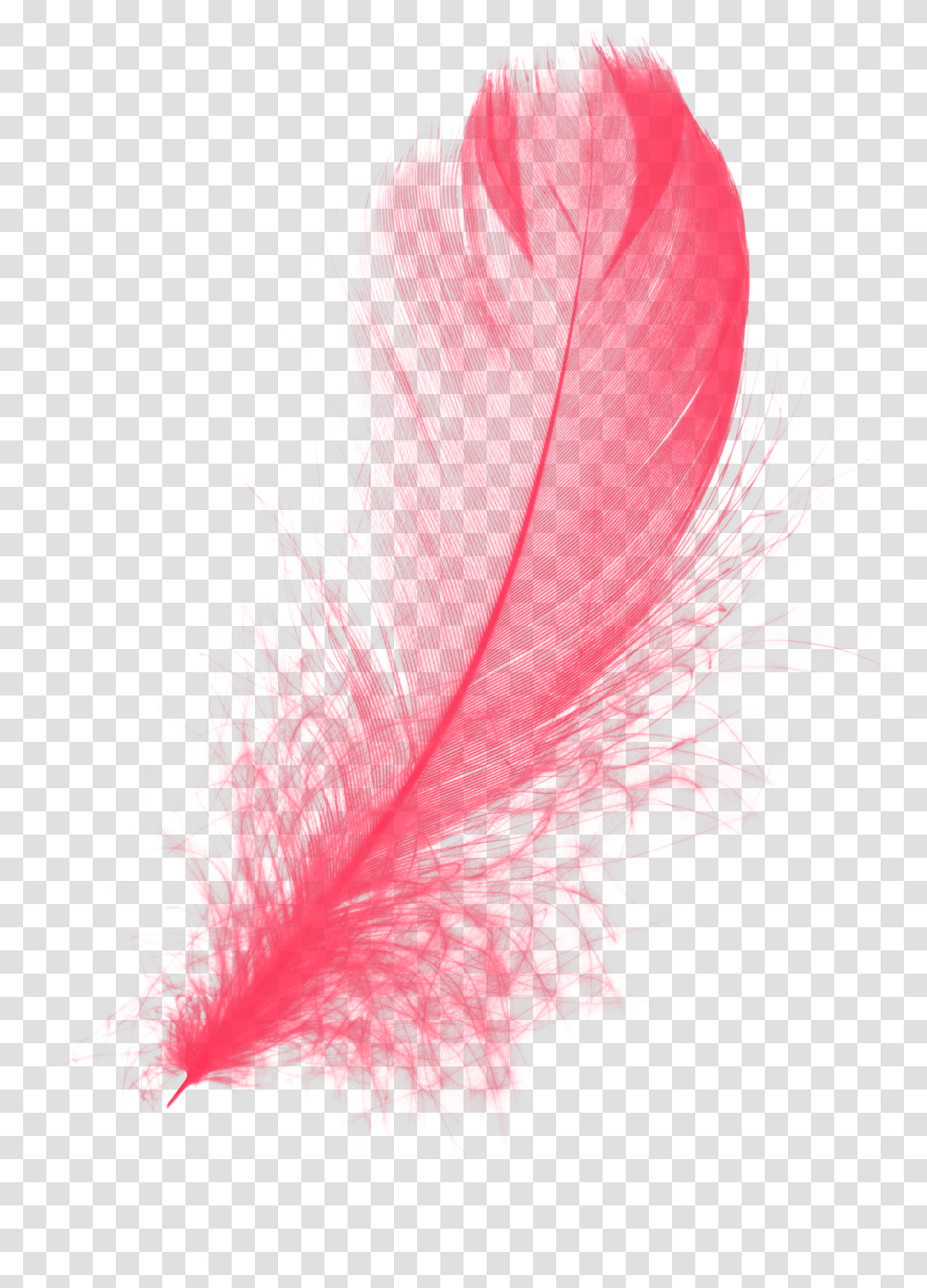 Red Feather, Apparel, Feather Boa, Scarf Transparent Png