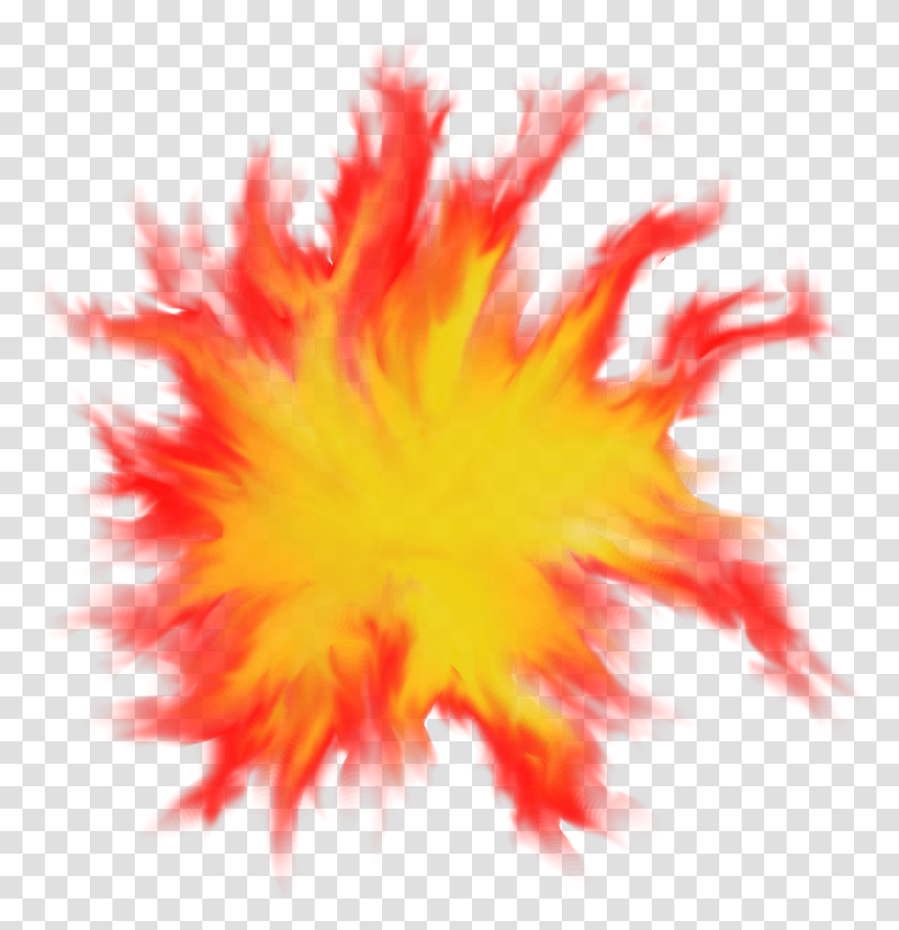 Red Fire, Leaf, Plant, Tree, Bonfire Transparent Png