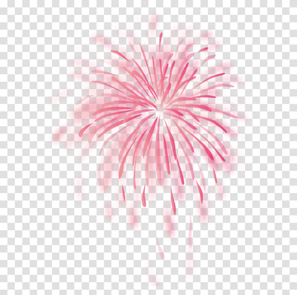 Red Firework Clipart Fireworks, Plant, Geranium, Flower, Blossom Transparent Png