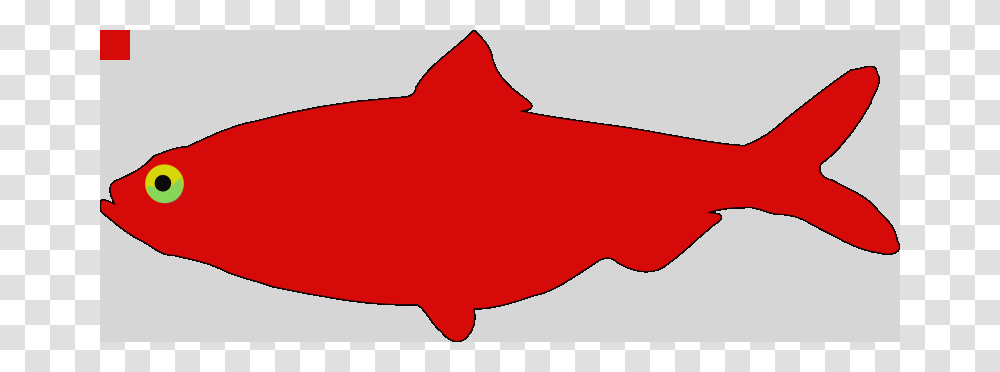 Red Fish Clip Art, Animal, Goldfish, Shark, Sea Life Transparent Png