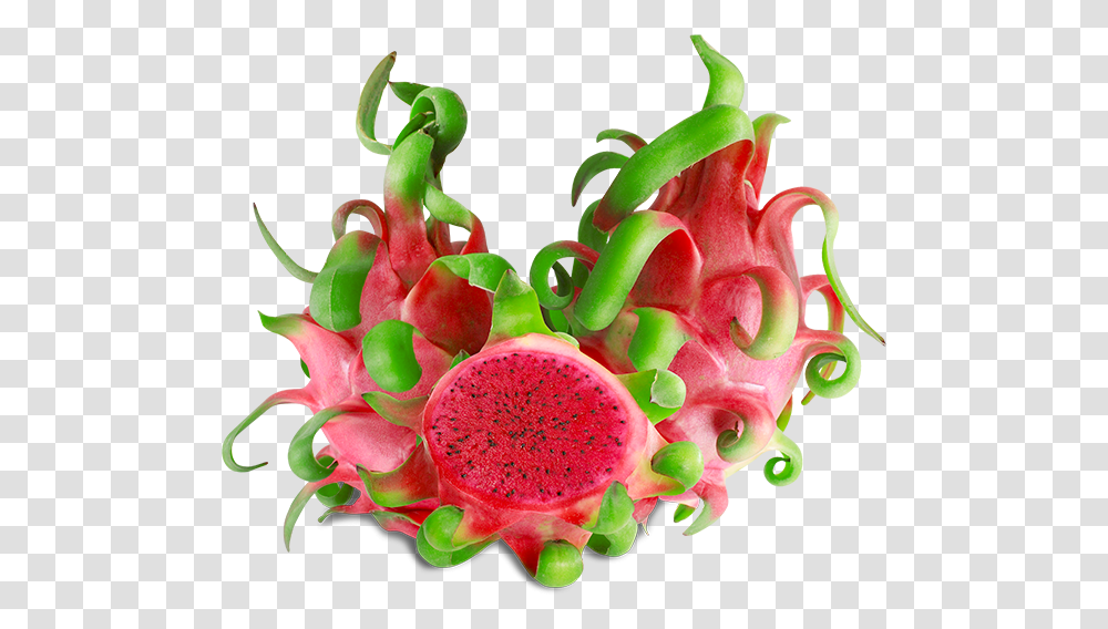 Red Flesh Dragon Fruit Queen Tri Thanh Long Rut, Plant, Food, Flower, Green Transparent Png