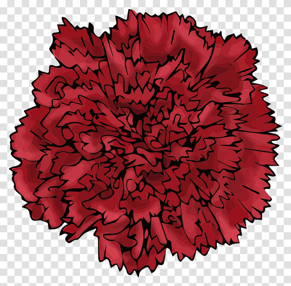 Red Flower Carnation Free Vector Graphic On Pixabay Pink, Plant, Blossom, Rug, Dahlia Transparent Png