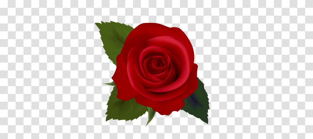 Red Flower Clip Art And Poems, Rose, Plant, Blossom, Petal Transparent Png
