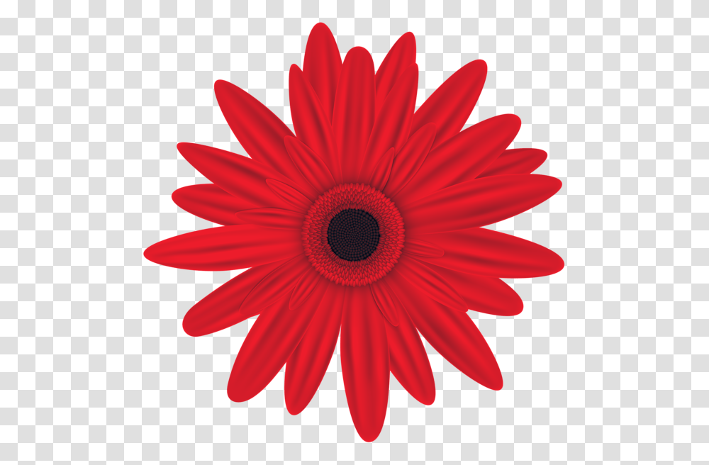 Red Flower Clip Art Image Aa Flores In Flower, Plant, Daisy, Daisies, Blossom Transparent Png