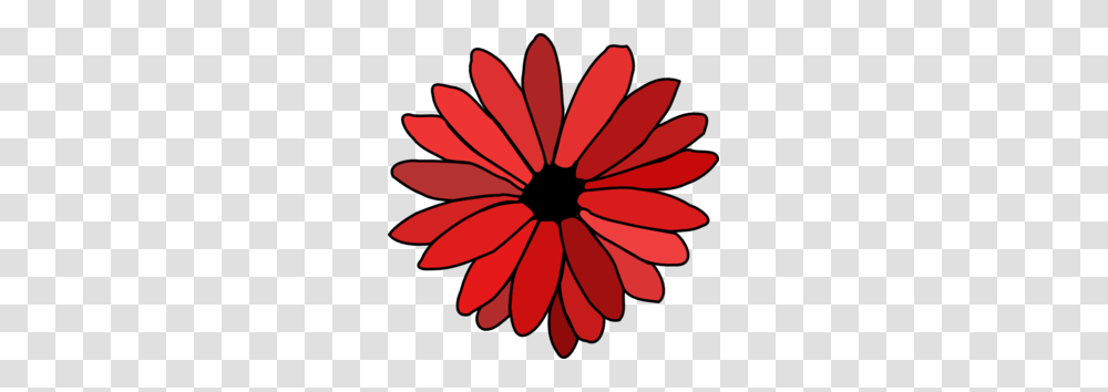 Red Flower Clip Art, Plant, Daisy, Daisies, Blossom Transparent Png