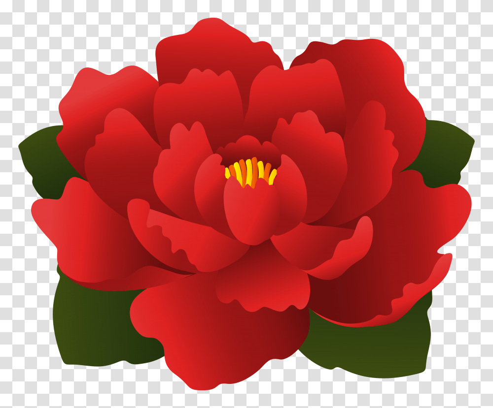 Red Flower Clip, Plant, Blossom, Peony, Carnation Transparent Png