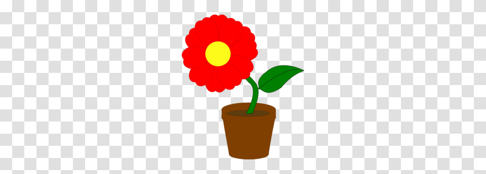 Red Flower Clipart Flower Plant, Blossom, Petal, Daisy, Daisies Transparent Png