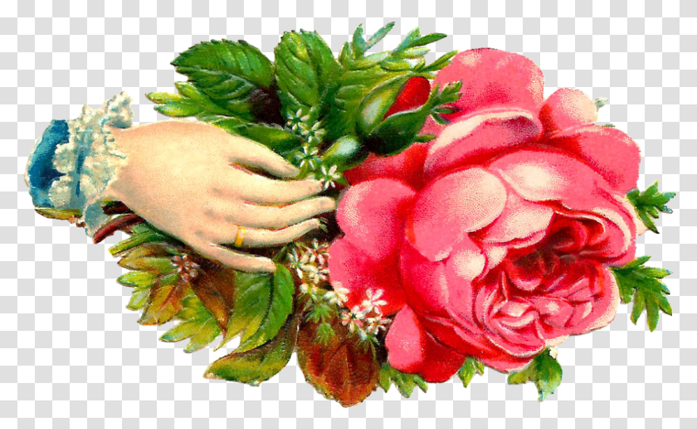 Red Flower Clipart Flowers With Hands, Plant, Flower Bouquet, Flower Arrangement, Rose Transparent Png