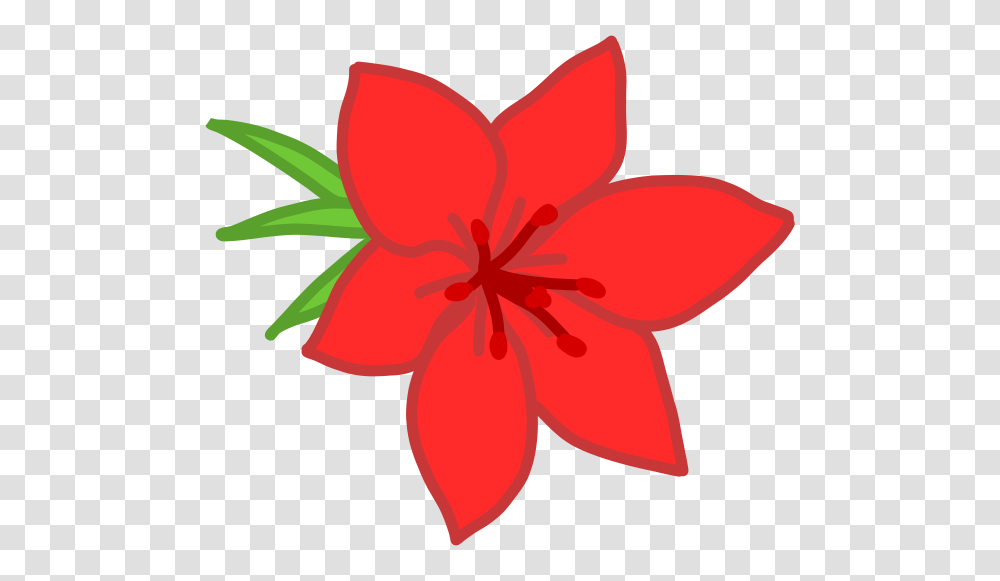 Red Flower Clipart Kid, Plant, Blossom, Hibiscus, Petal Transparent Png