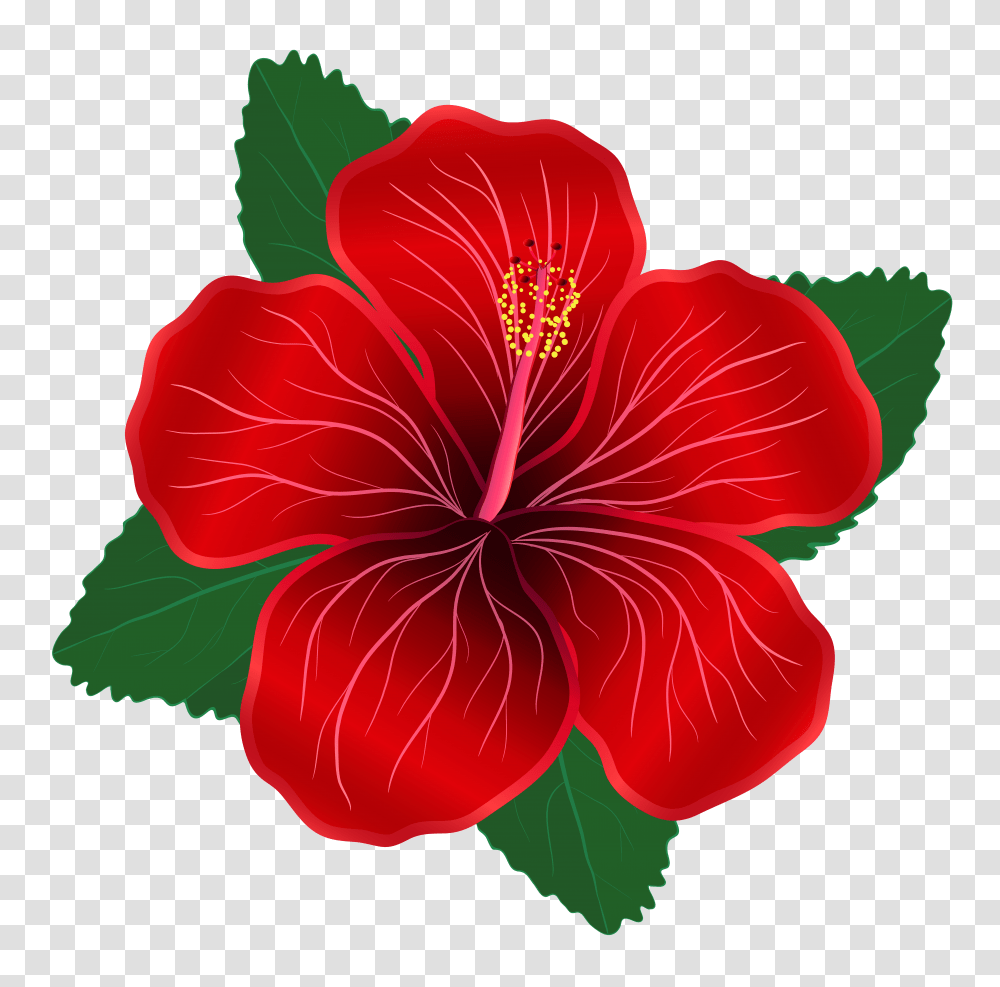 Red Flower Clipart Transparent Png