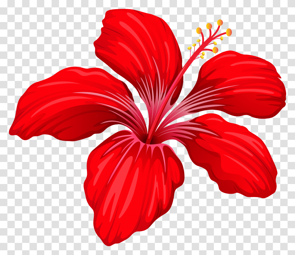 Red Flower Clipart Twilight X Double Diamond, Plant, Petal, Blossom, Hibiscus Transparent Png