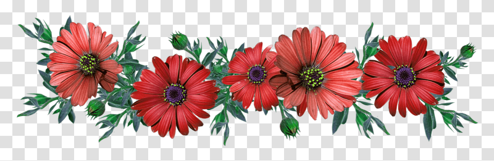 Red Flower Crown Flowercrown Redcrown Redflower Pink Daisies, Plant, Petal, Dahlia, Daisy Transparent Png