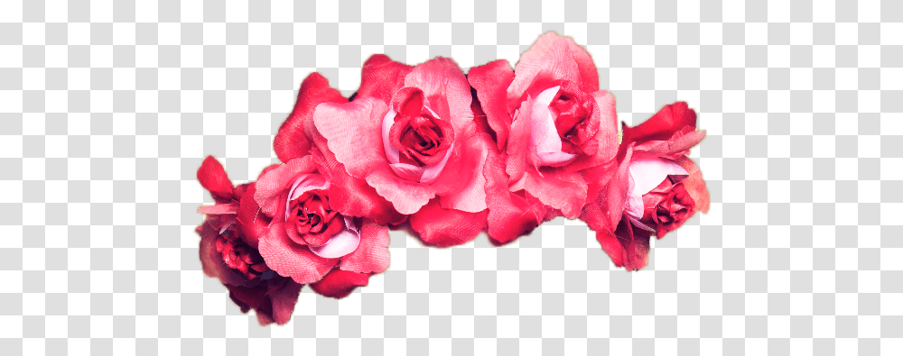 Red Flower Crown, Plant, Blossom, Rose, Petal Transparent Png