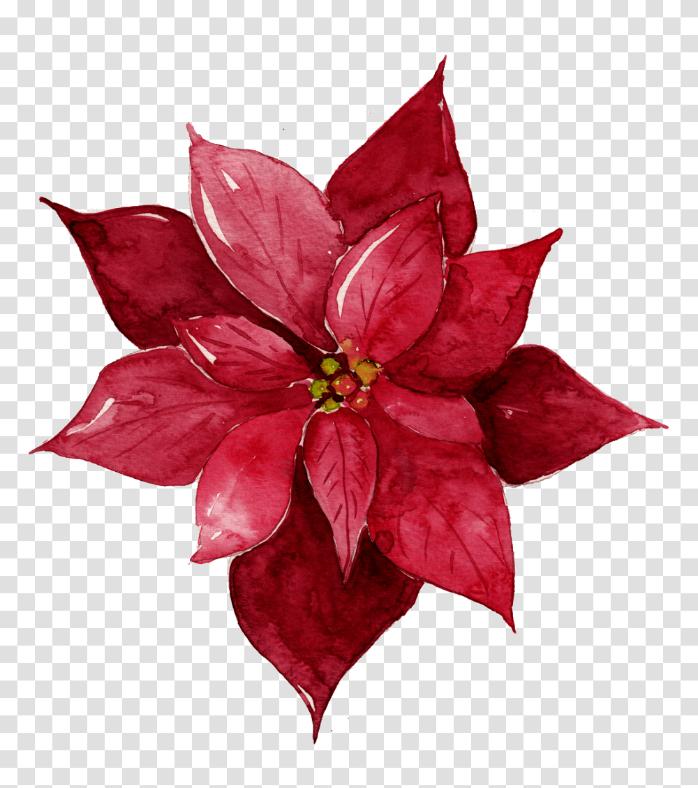 Red Flower Free Illustration Free Download Vector, Leaf, Plant, Floral Design, Pattern Transparent Png