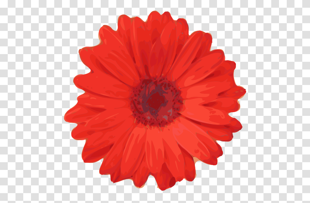 Red Flower Pedals Clip Art Free Vector, Plant, Blossom, Daisy, Daisies Transparent Png