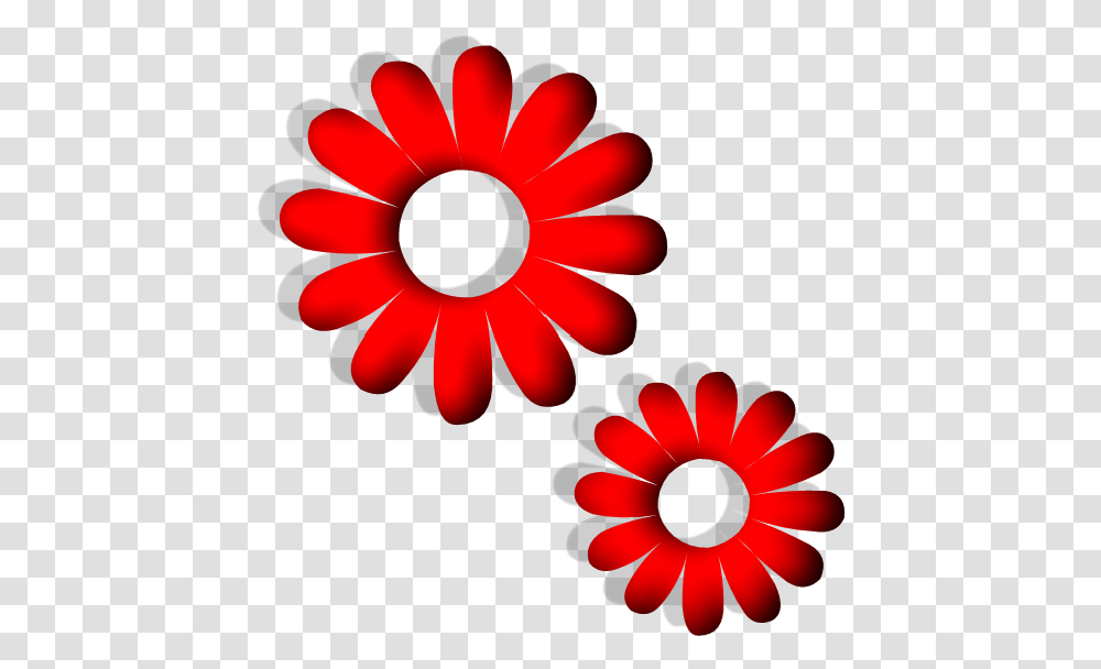 Red Flower Vector, Daisy, Plant, Daisies, Blossom Transparent Png