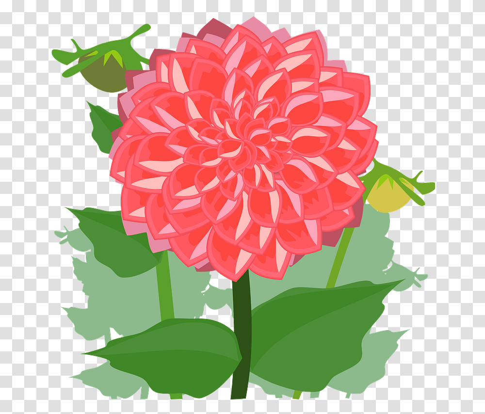 Red Flower With Stem And Leaves Clipart Flower Dahlia Clipart, Plant, Blossom, Rose, Geranium Transparent Png
