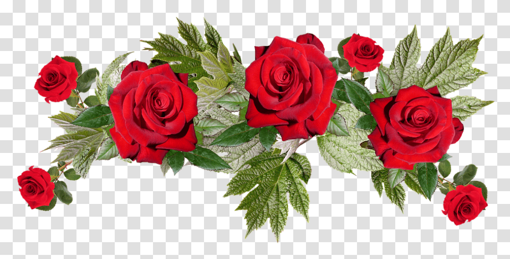 Red Flowers Image With Background Arts Jw Year Text 2020, Rose, Plant, Blossom, Flower Arrangement Transparent Png