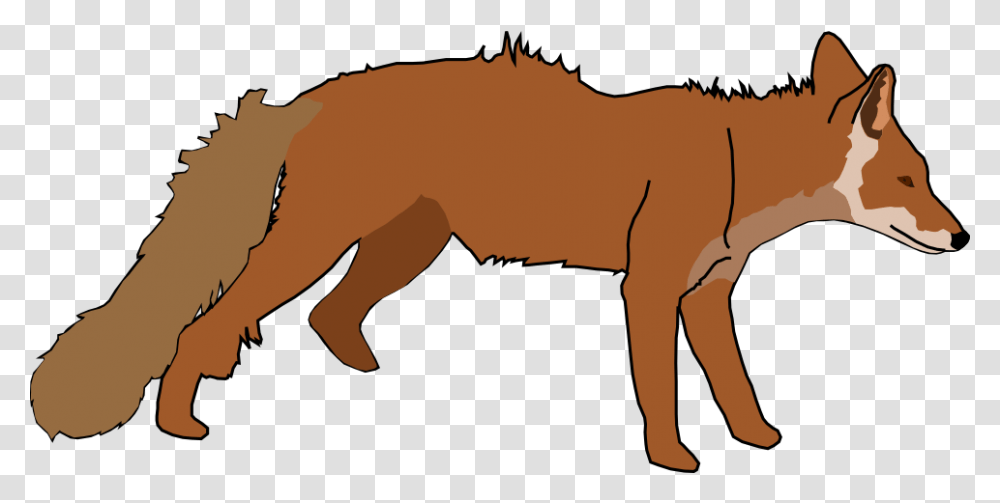 Red Fox, Animal, Mammal, Horse, Wildlife Transparent Png