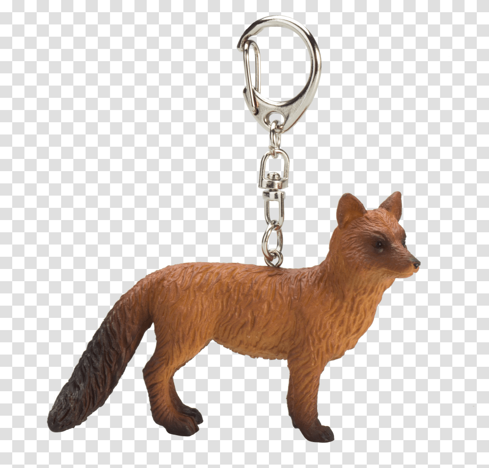 Red Fox, Cat, Pet, Mammal, Animal Transparent Png